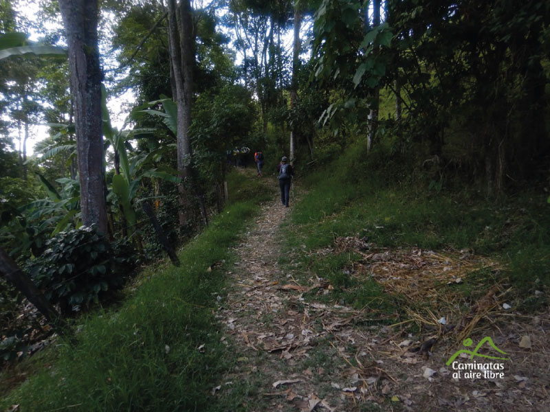 3-Caminata-Cerro-Quininí