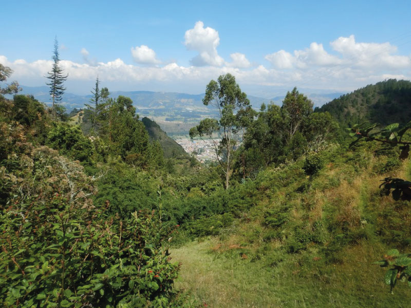 10-img-Caminata-Cerro-Tres-Viejas
