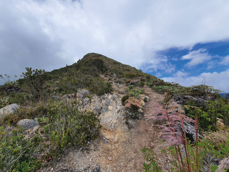 11-img-Caminata-Cerro-Montecillo