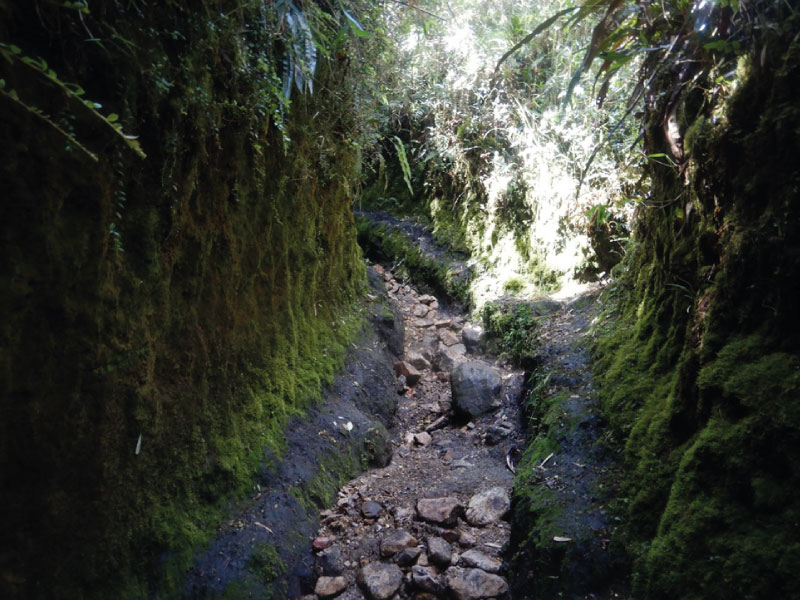 11-img-Caminata-Cerro-Tres-Viejas