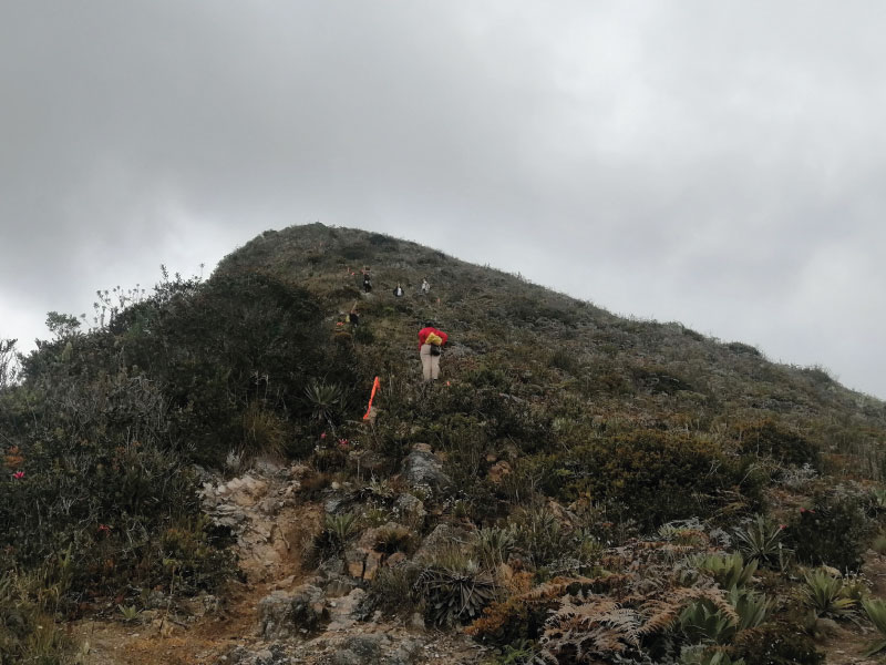 14-img-Caminata-Cerro-Montecillo