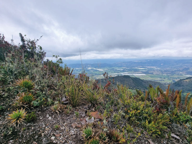 2-img-Caminata-Cerro-Tres-Viejas
