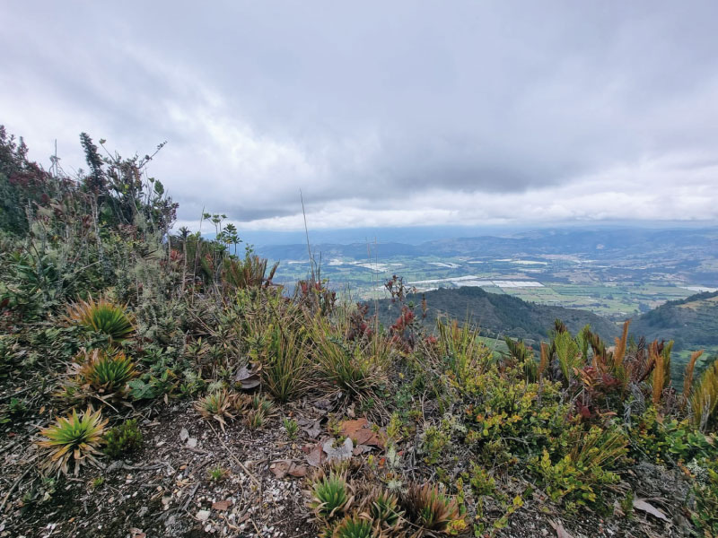 20-img-Caminata-Cerro-Tres-Viejas
