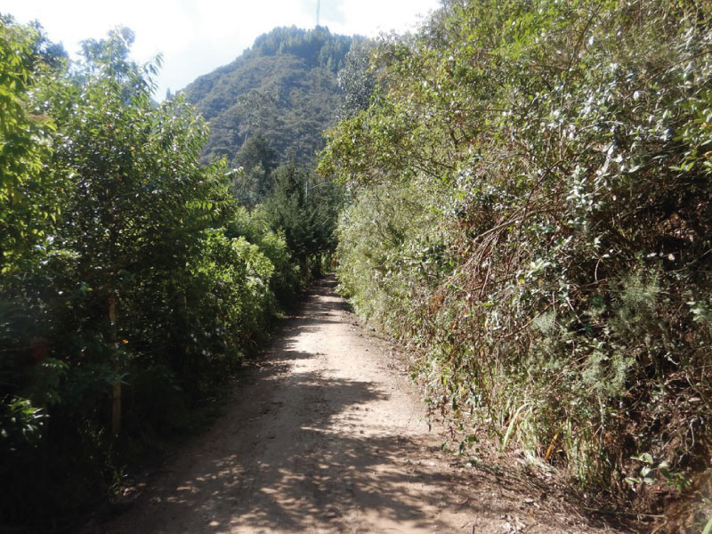 7-img-Caminata-Cerro-Tres-Viejas