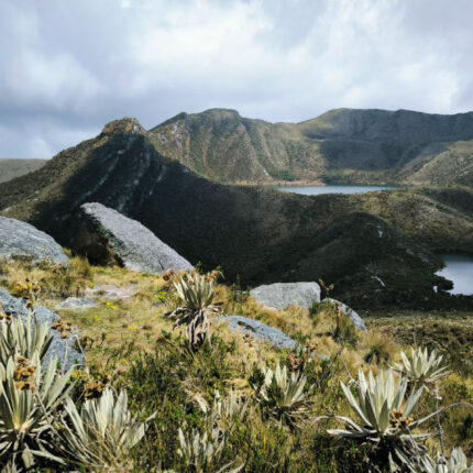 Páramo de Chingaza - Laguna de Siecha