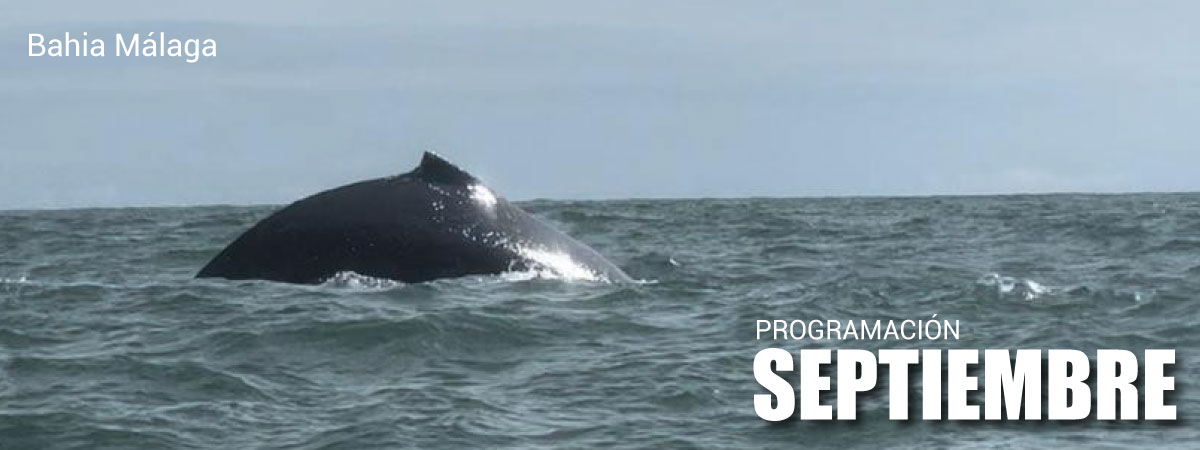 BANNER-WEB-SEPTIEMBRE