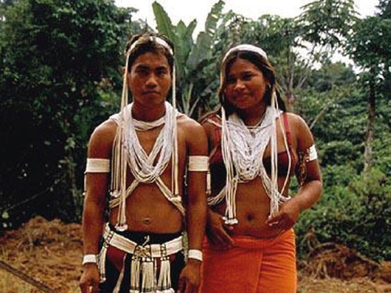 18-Amazonas—Reserva-Palmarí