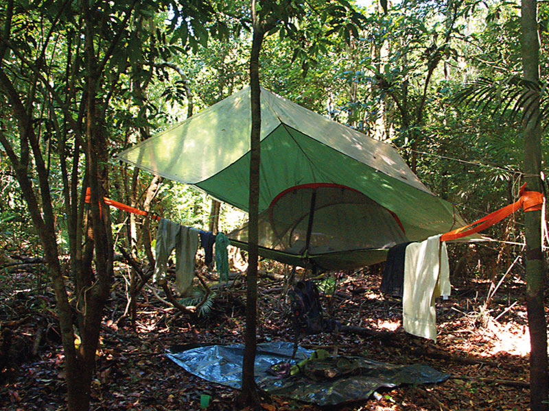 4-Amazonas—Reserva-Palmarí