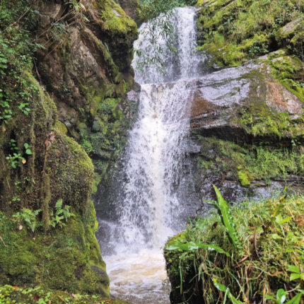 Caminata - Cascada del Puente